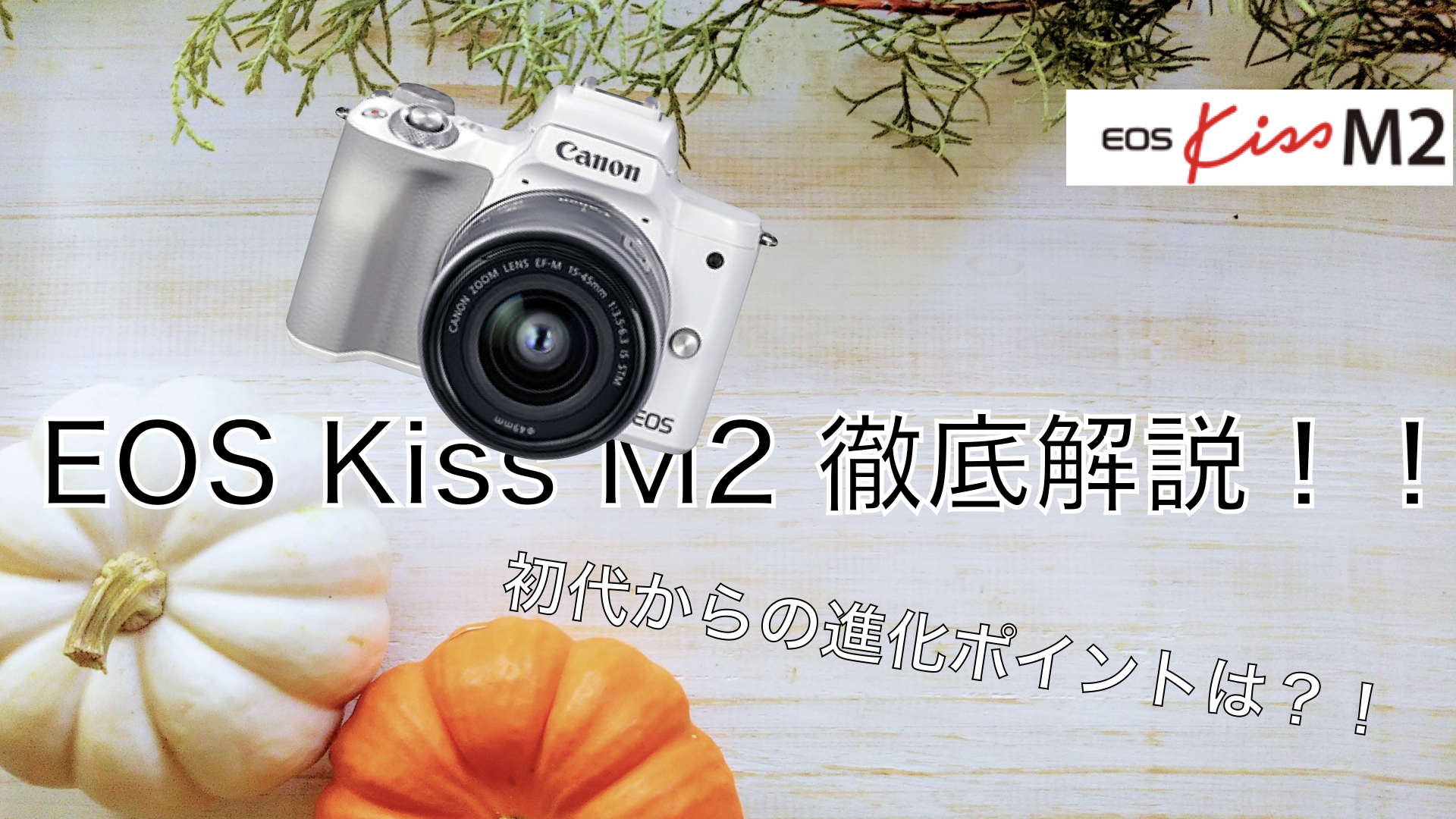Canon ミラーレス一眼カメラ EOS Kiss M2 ダブルズームキット